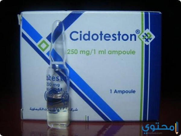 Cidoteston Image 1 Preview