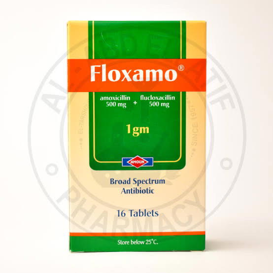 Floxamo Preview Image