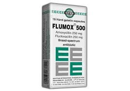 Flumox 500mg Preview Image
