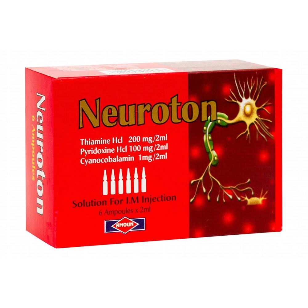 Neuroton Preview Image