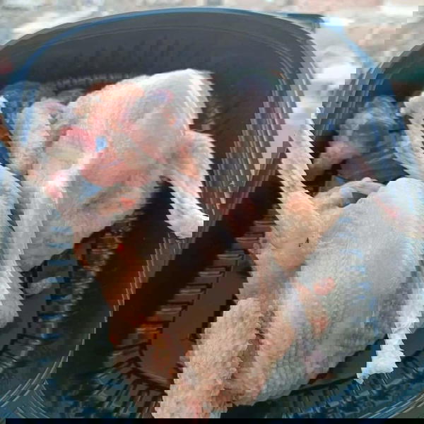حمام بلدي منضف Image 1 Preview