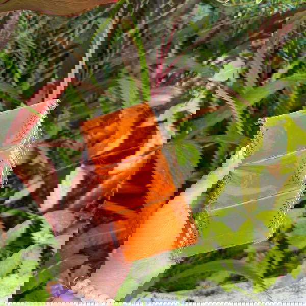 صابون كوجي سان Image 6 Preview