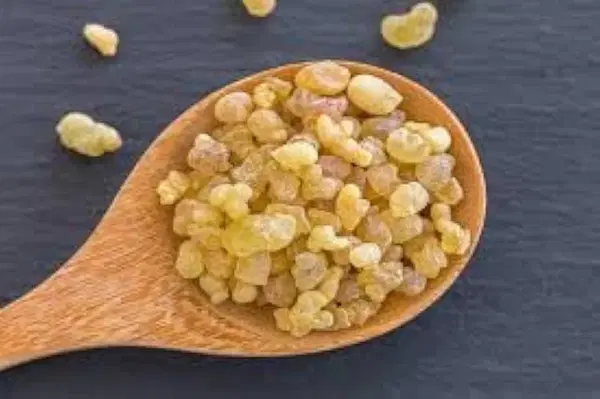 صابونة لبان الذكر  Image 2 Preview