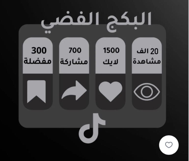 بكج فضي  Preview Image