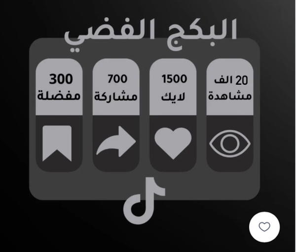 بكج فضي  Image 1 Preview