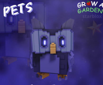 بومه زرقه  Preview Image