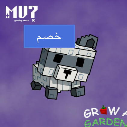 راكون  Image 1 Preview