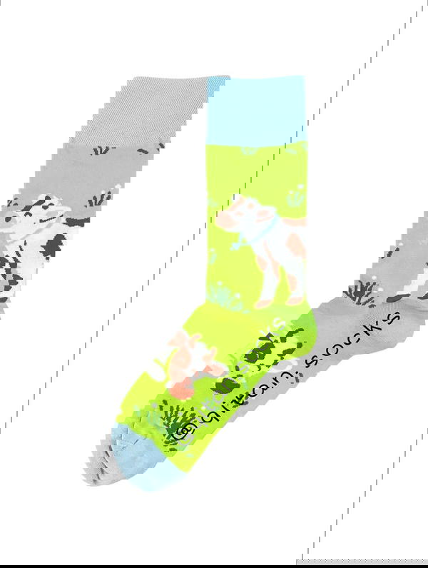 بقرة Image 1 Preview