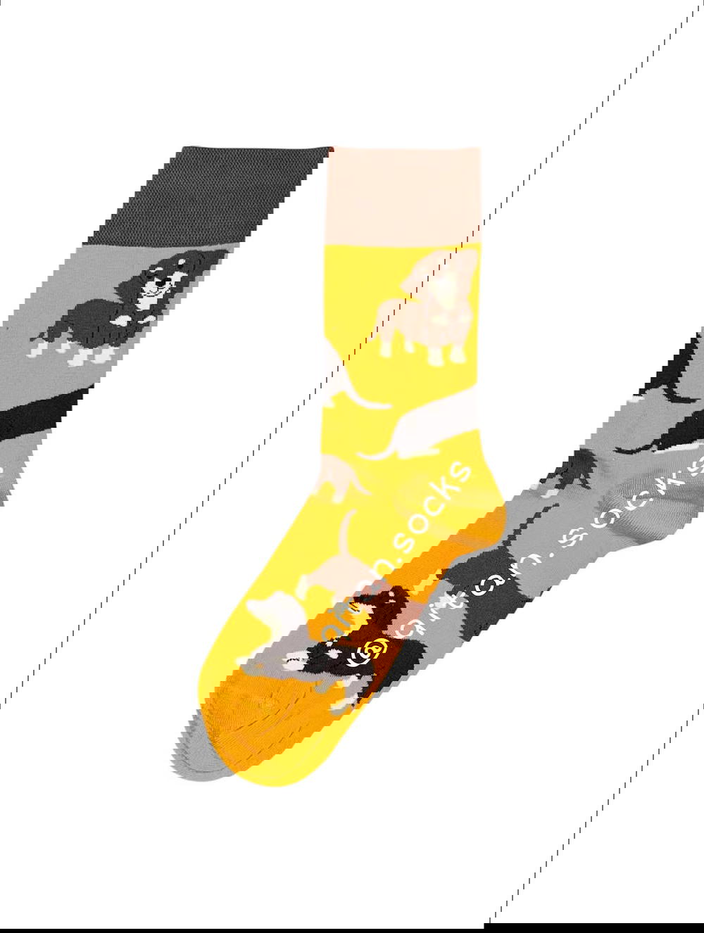 كلاب اصفر Preview Image