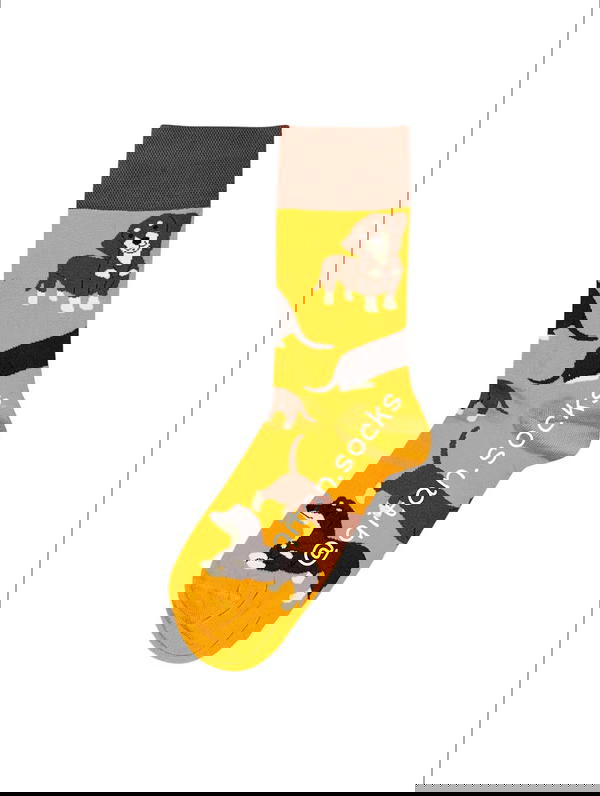 كلاب اصفر Image 1 Preview