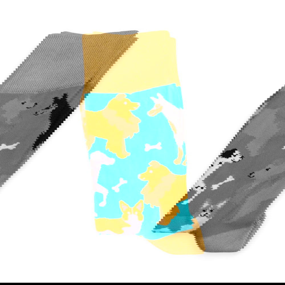 كلاب ازرق Preview Image