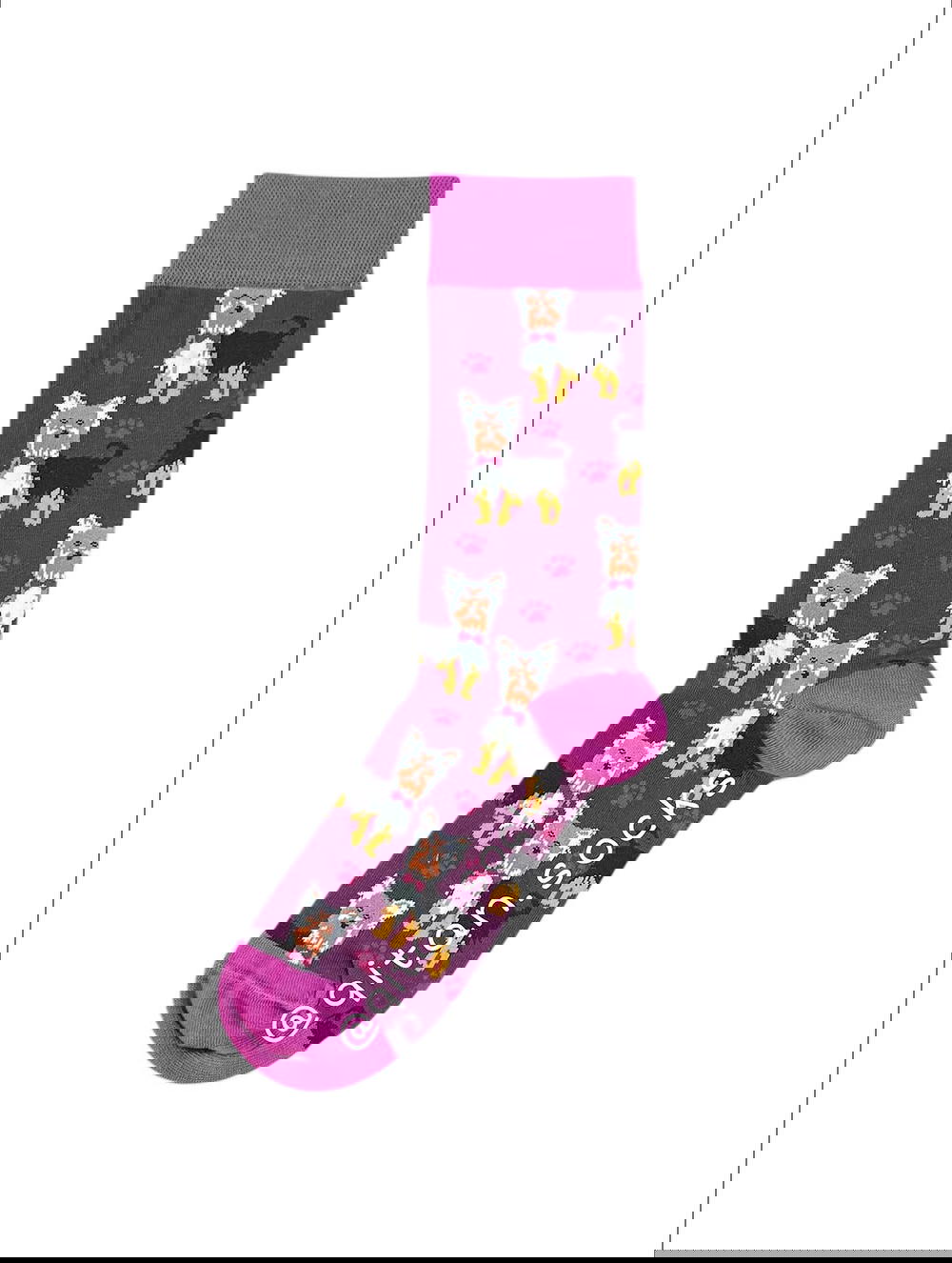 كلاب بنفسجي Preview Image