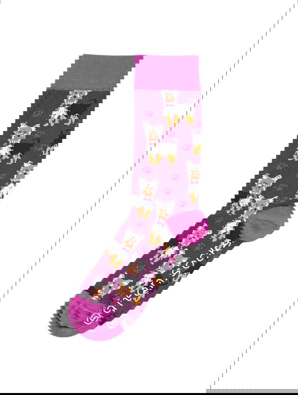 كلاب بنفسجي Image 1 Preview