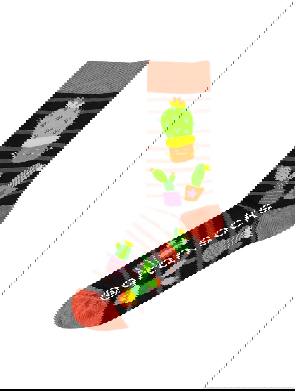 صبار Preview Image