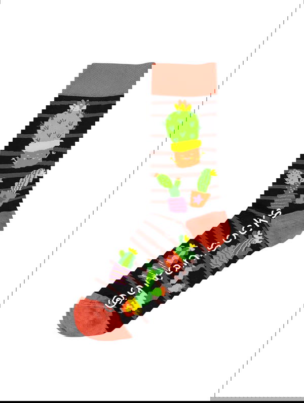 صبار Image 1 Preview