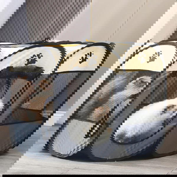 بيت عزل الحيوانات الأنيق  Image 6 Preview