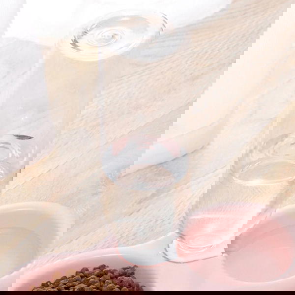 طبق طعام مزدوج للحيوانات بدسبنسر أوتوماتيكي  Image 2 Preview