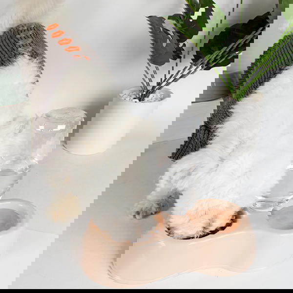 طبق طعام مزدوج للحيوانات بدسبنسر أوتوماتيكي  Image 6 Preview