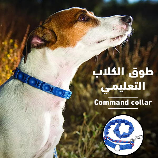 طوق الكلاب التعليمي  Image 1 Preview