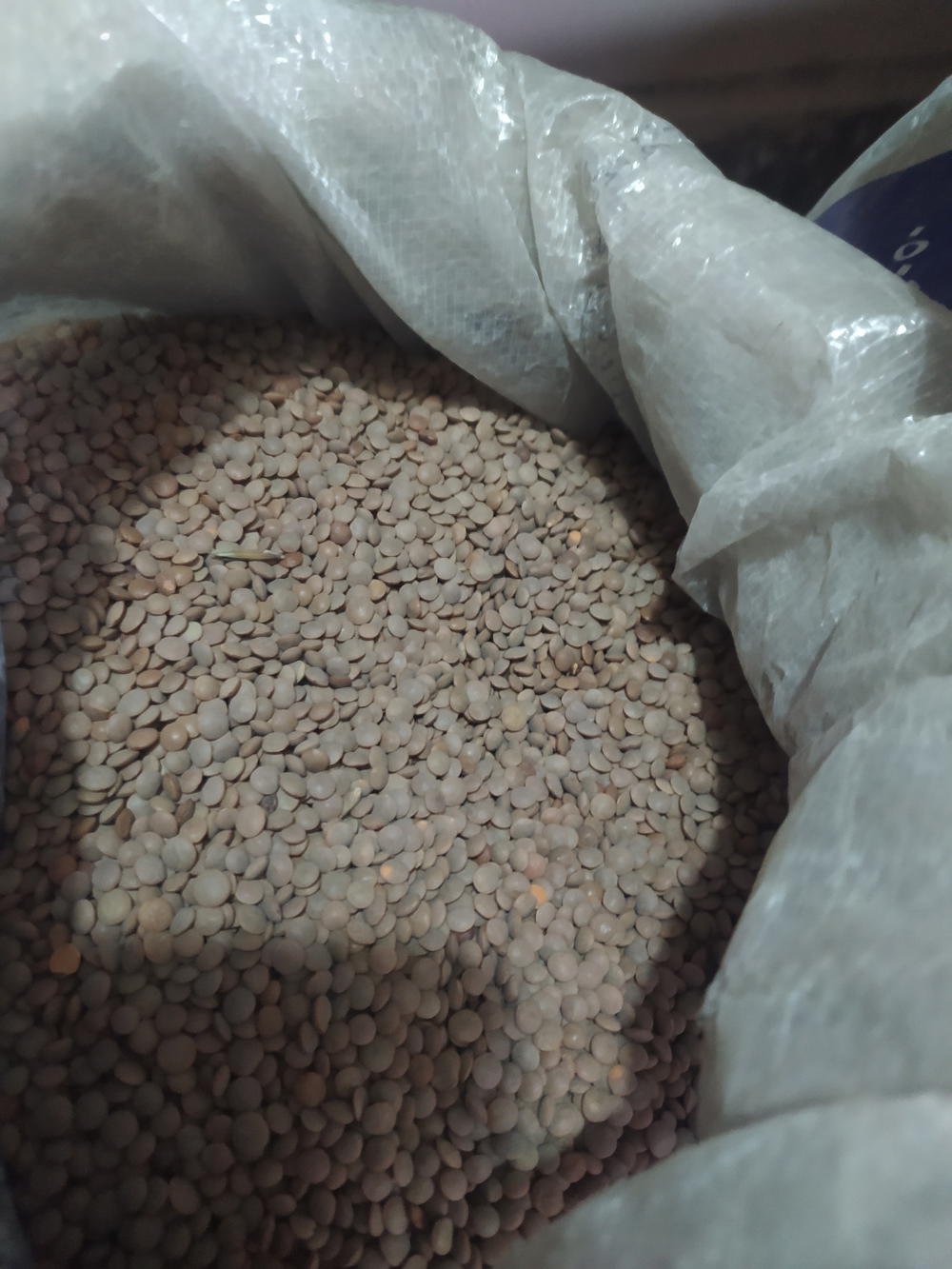 عدس بجبه تمن كيلو Preview Image