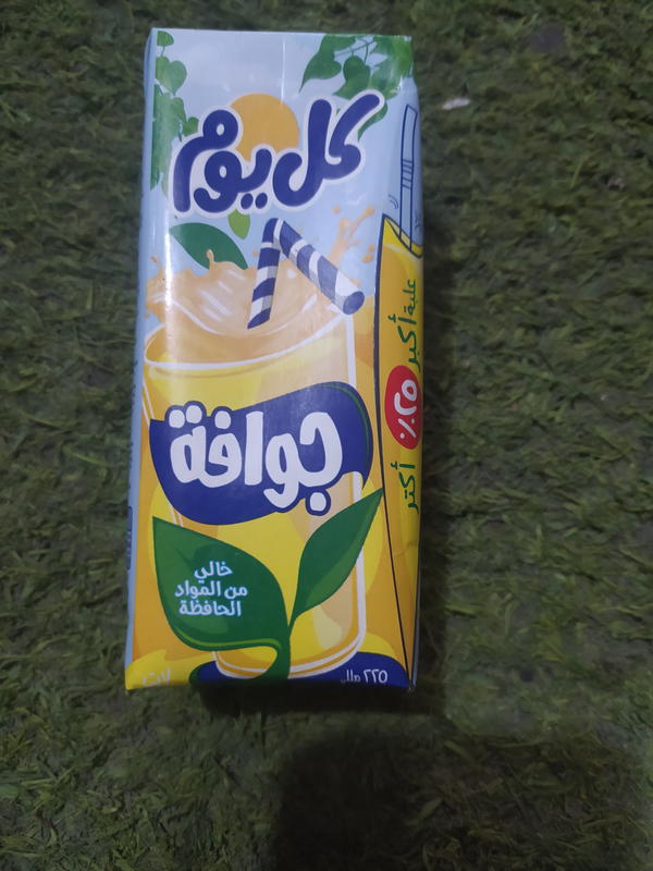 عصير كل يوم جوافه 225ملل Image 1 Preview