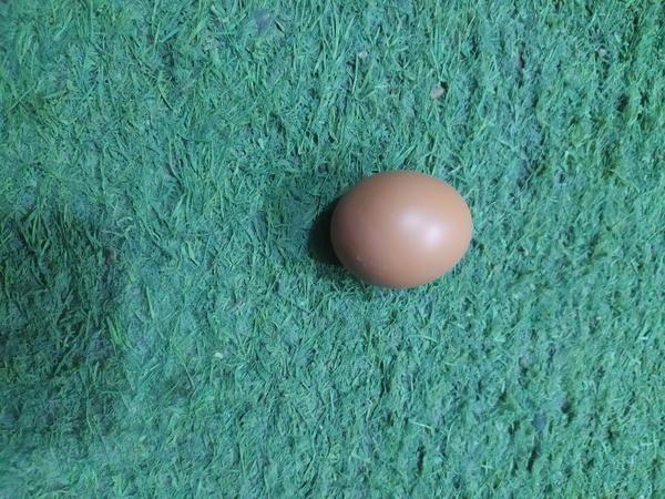 بيضه حمراء Image 1 Preview