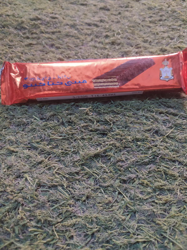 ميني كتاكيتو الكبيره Image 1 Preview