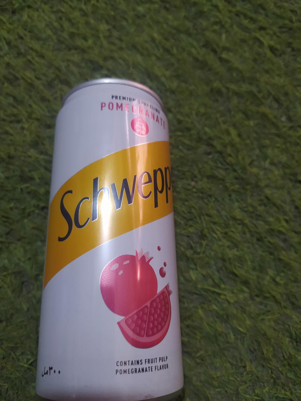 شويبس رمان كانز 330مل Preview Image