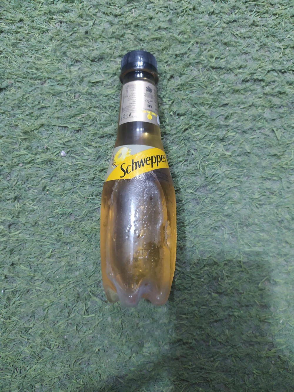 شويبس اناناس ٢٥٠مل Preview Image