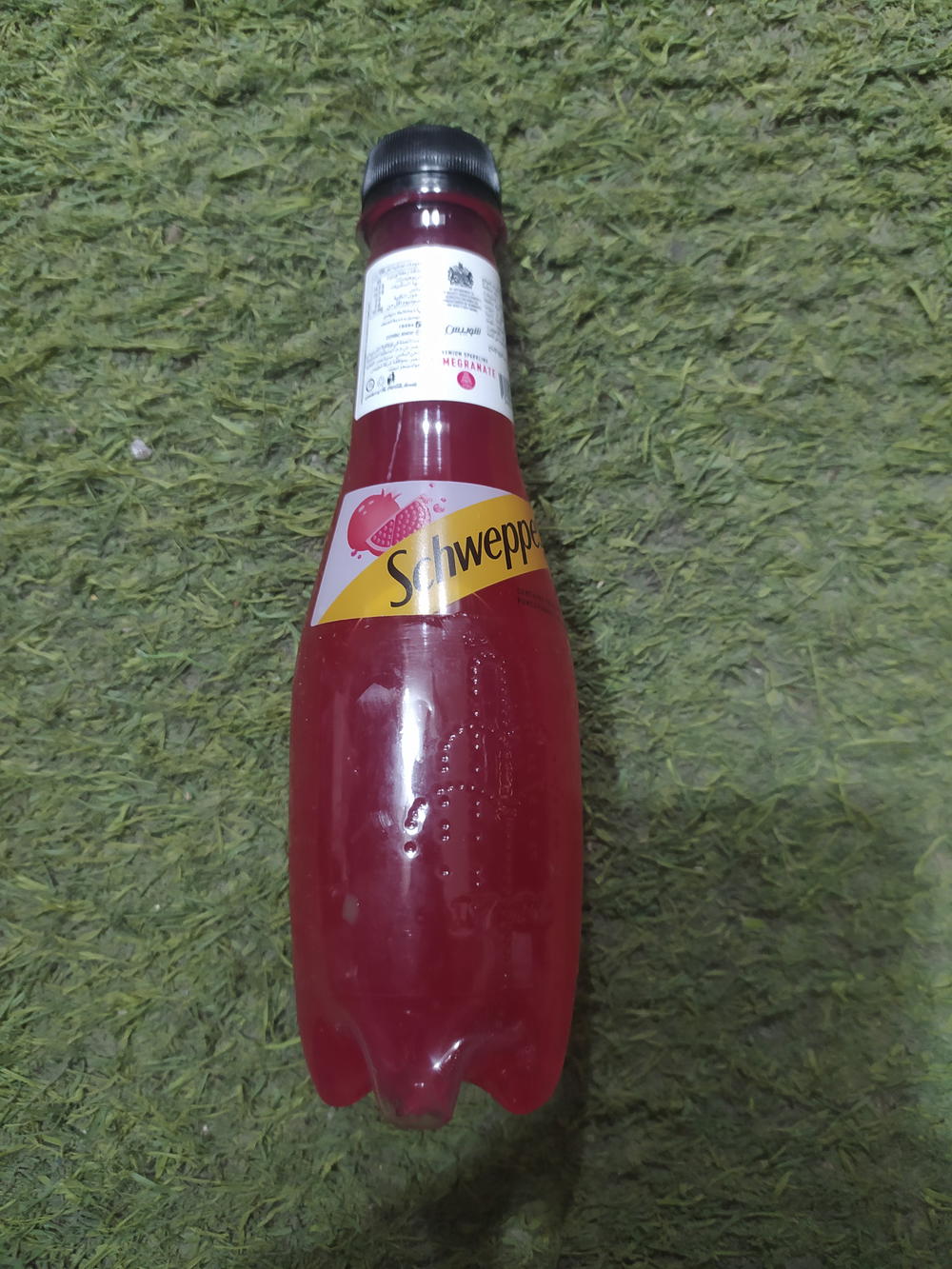 شويبس رمان ٢٥٠مل Preview Image