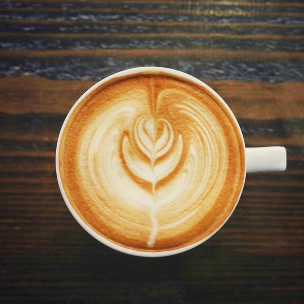 Mocha Image 1 Preview