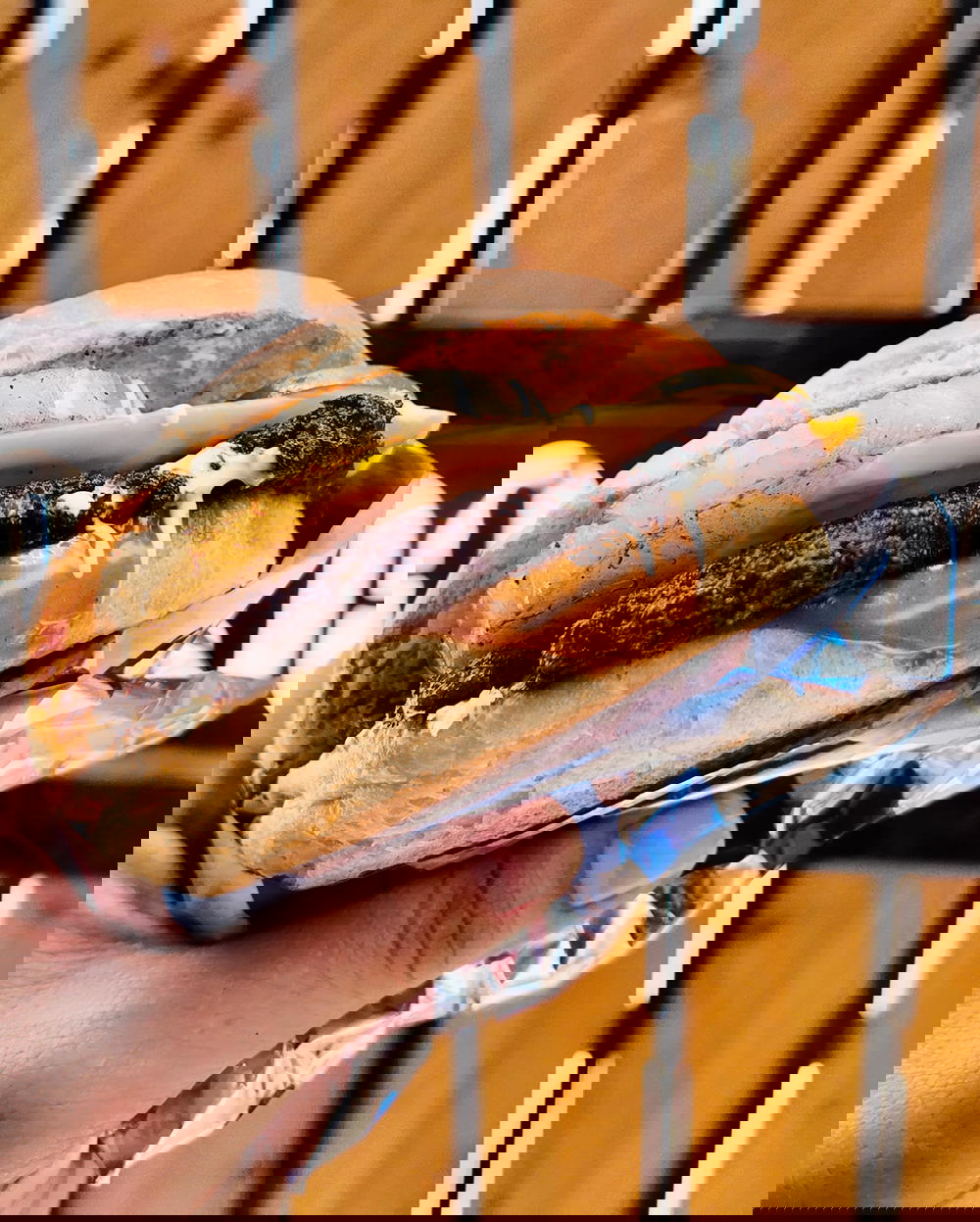 Hawaiian Smash Berger Preview Image