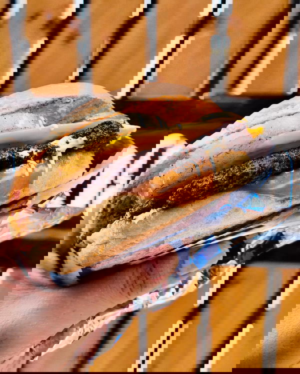 Hawaiian Smash Berger Image 1 Preview