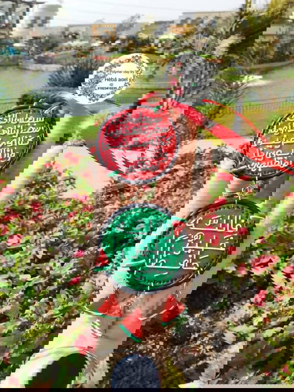 دلايه سياره  Image 2 Preview