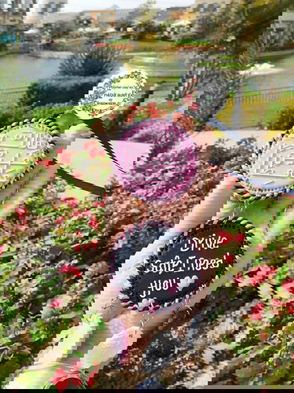 دلايه سياره  Image 3 Preview