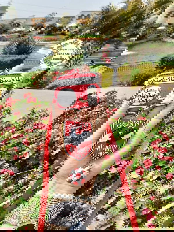 دلايه سياره  Image 5 Preview