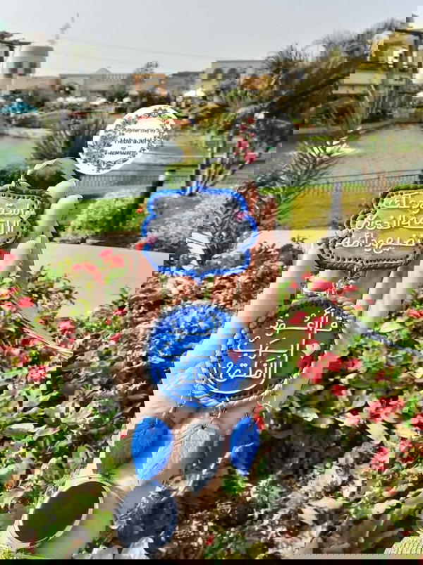 دلايه سياره  Image 7 Preview