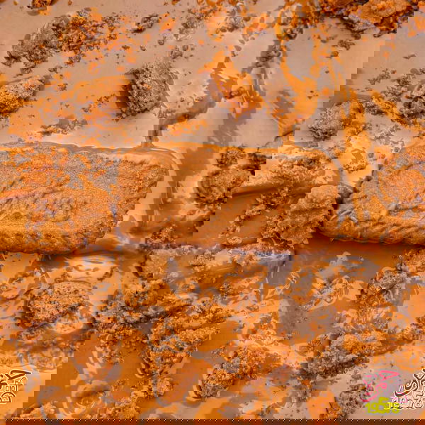 فطيره لوتس  Image 2 Preview