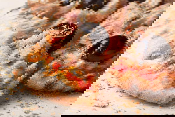 بيتزا تونه كبير Image 1 Preview