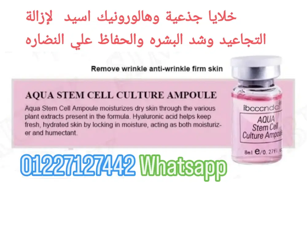 ميزوثيربي.. خلايا جذعية  Preview Image