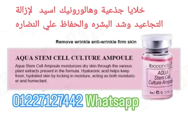 ميزوثيربي.. خلايا جذعية  Image 1 Preview
