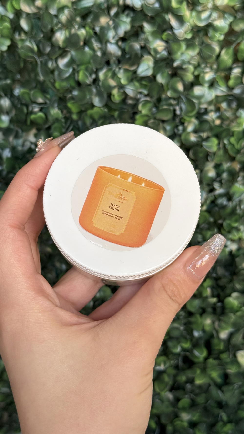 paech bellini 25g Preview Image