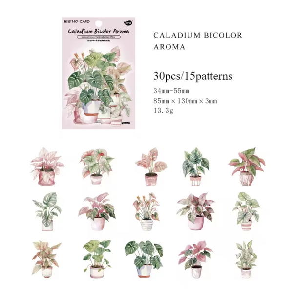 استيكر نباتات الظل ٣٠ قطعة  Image 5 Preview