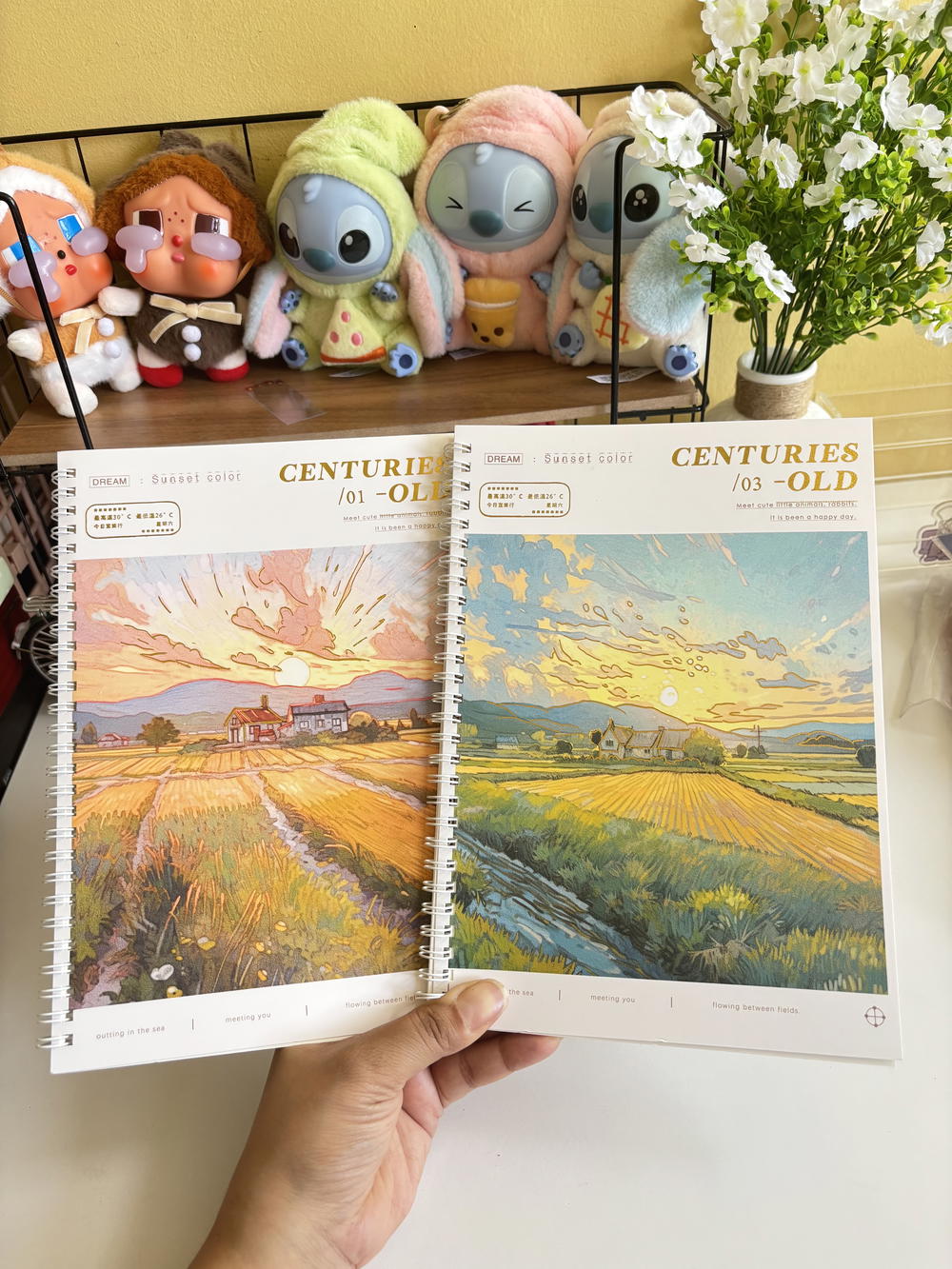 دفتر مسطر مقاس b5  Preview Image