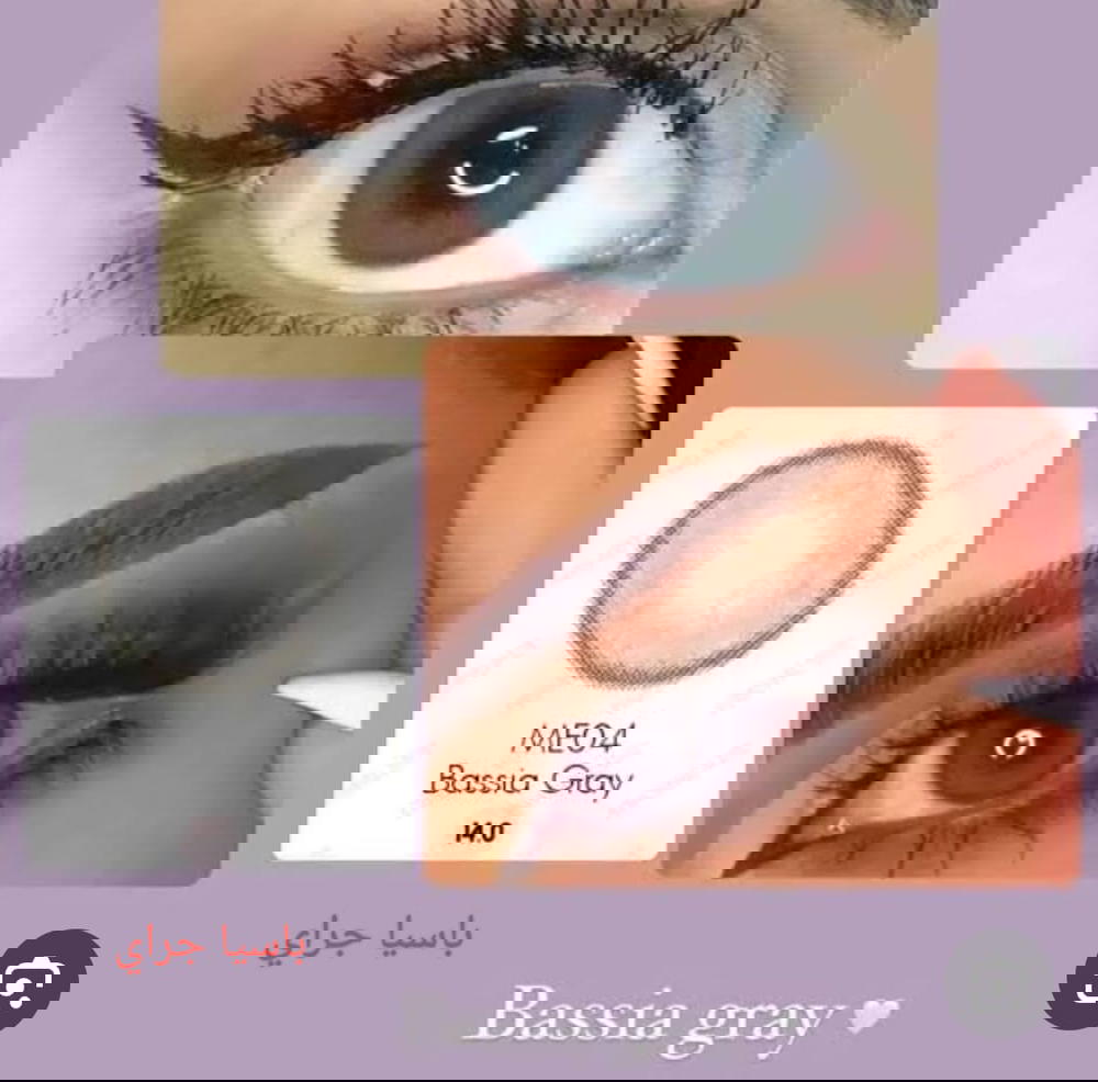 فريش ليدي (باسيا جراي) Preview Image