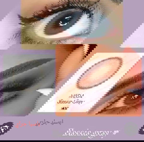 فريش ليدي (باسيا جراي) Image 1 Preview