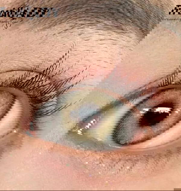 فريش ليدي (فلفيت جرين) Image 2 Preview