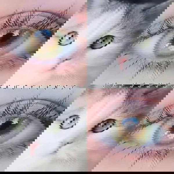 فريش ليدي (لاجيرل جرين) Image 3 Preview