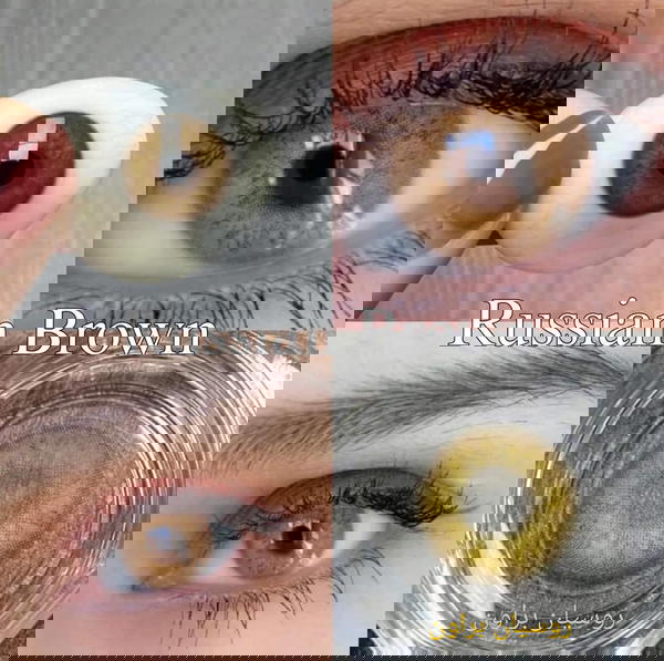 فريش ليدي (روسيان براون) Image 2 Preview