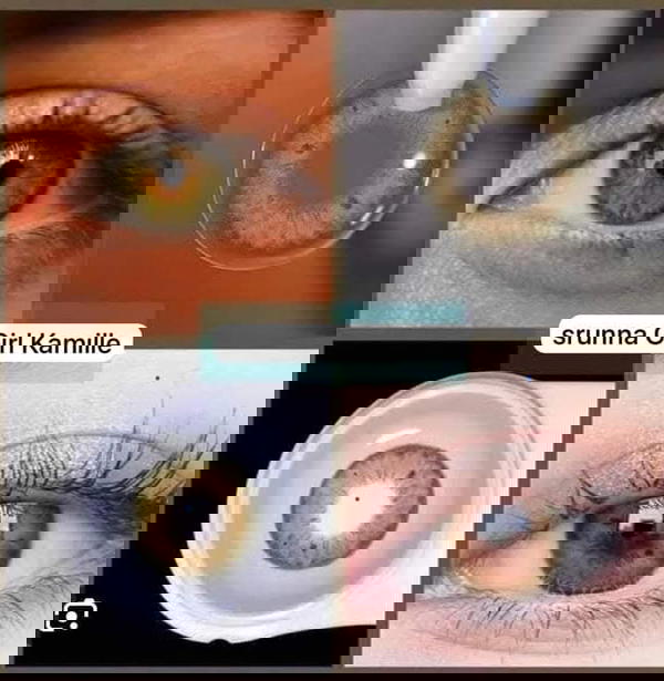 فريش ليدي (ستونا جيرل كاميلا) Image 1 Preview